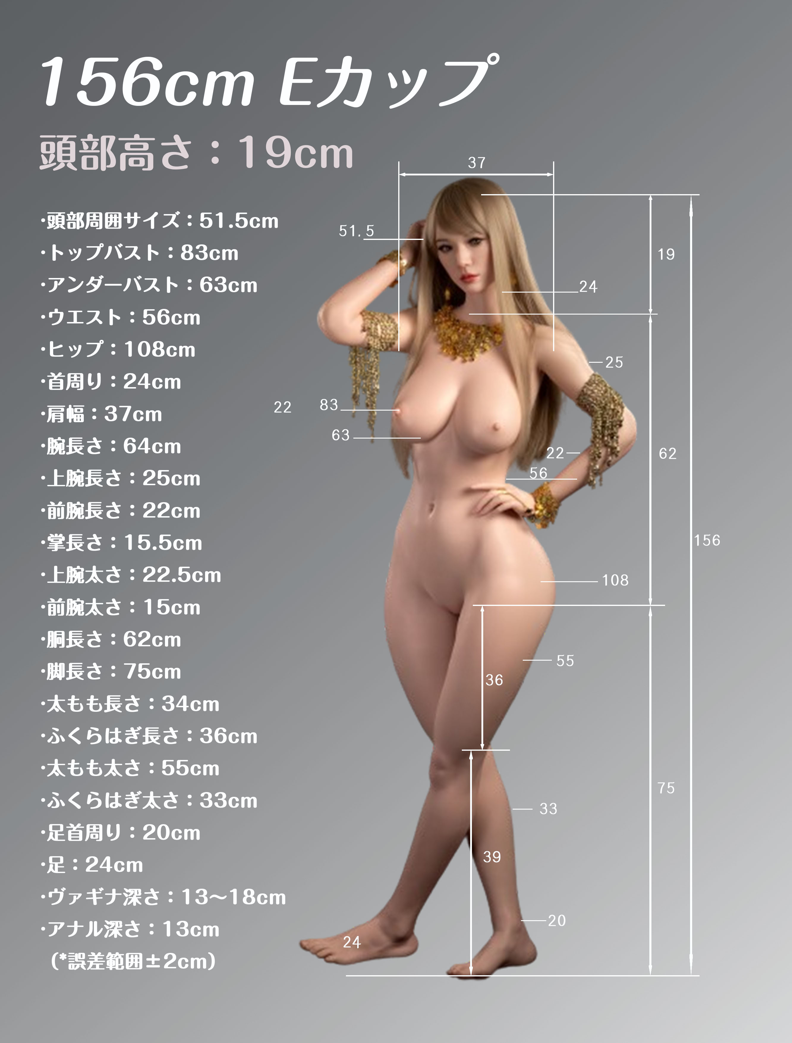 156cmボディのデータ