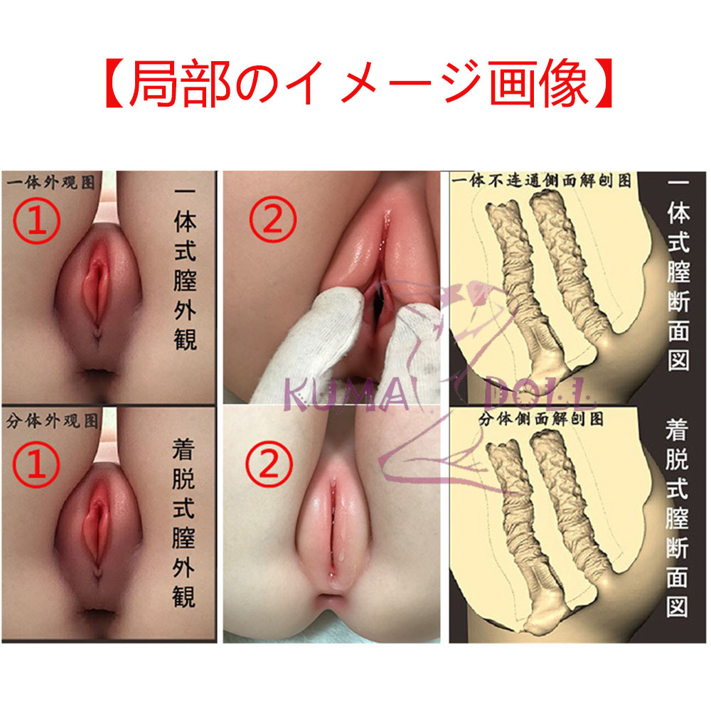artdoll 局部